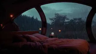 Miniature : [Bruit blanc] Pluie Relaxante Dans La Forêt Brumeuse Pour Dormir En 5 Minutes