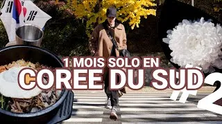 Miniature : UN MOIS EN CORÉE DU SUD SOLO 🇰🇷 Partie 2