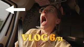 Miniature : Si on y arrive pas, on arrête les vlogs d'août ! 🐰