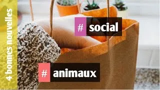 Miniature : 4 bonnes nouvelles #25 : animaux, solidarité, environnement, social.