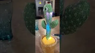 Miniature : 18 € cactus qui parle et répète 120 chansons top produit Rémilly 57580 fb lexplosiflexplosifremilly