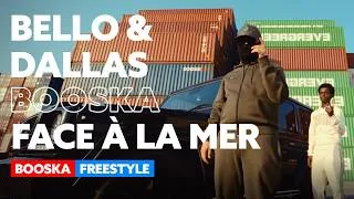 Miniature : Bello&Dallas | Booska Face à la Mer