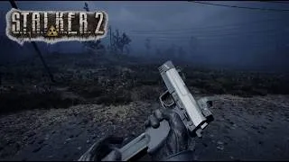 Miniature : STALKER 2 n'a jamais été aussi immersif... J'ai attaqué 3 camps ennemis ! 😱 (Gameplay FR)