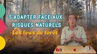 Miniature : Feux de forêt : comment Bordeaux Métropole s'adapte | Avec Fred Courant