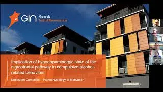 Miniature : Webinar Sébastien Carnicella (Grenoble Institut Neurosciences)