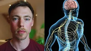 Miniature : Comment ne plus vivre sous stress : le secret du système nerveux
