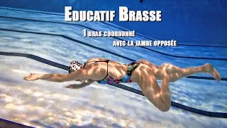 Miniature : technique éducatif brasse - 1 bras coordonné avec la jambe opposée