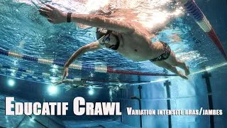 Miniature : technique éducatif crawl - variation de l'intensité bras et jambes