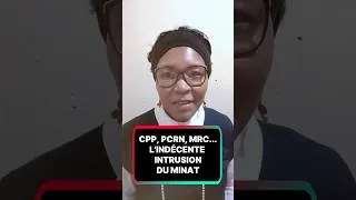Miniature : CPP, PCRN, MRC... INDÉCENTE INTRUSION DU MINAT