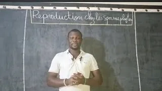 Miniature : RÉSUMÉ DE LA REPRODUCTION CHEZ LES SPERMAPHYTES