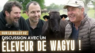 Miniature : Sur le billot #2 : L'histoire et la vision d'un éleveur de Wagyu