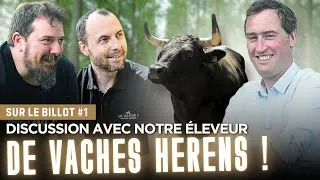 Miniature : Sur le billot #1 : L'histoire et la vision d'un éleveur de vache Herens