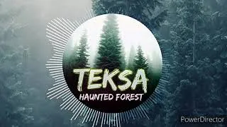 Miniature : SON DE TEUF Teksa - Haunted Forest