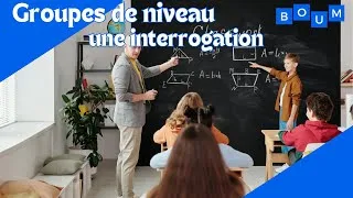 Miniature : Les groupes de niveau : une interrogation