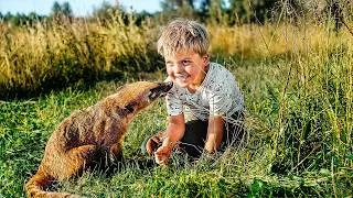 Miniature : Coati en Folie | Film Complet en Français | Aventure 💎