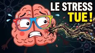Miniature : Pourquoi le Stress Chronique empoisonne votre Cerveau : Le rôle du Glutamate