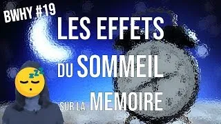 Miniature : LES EFFETS DU SOMMEIL SUR LA MÉMOIRE | BRAINWHY #19
