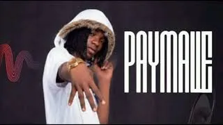 Miniature : Braking paymalle_-_ (audio officiel) pe4