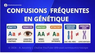 Miniature : Dix Confusions Plus Fréquentes En Génétique (Comment Les Éviter !)