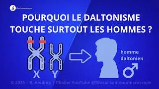 Miniature : Pourquoi Le Daltonisme Touche Plus Les Hommes Que Les Femmes ?