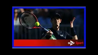 Miniature : Breaking News | Andy Murray: It's most likely I'll play at Wimbledon