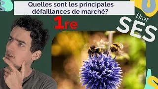 Miniature : Quelles sont les principales défaillances de marché ? | 1ère SES (2025)