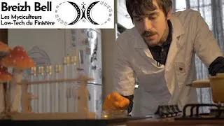 Miniature : La culture de Blob par le Dr Pierre Bonnet