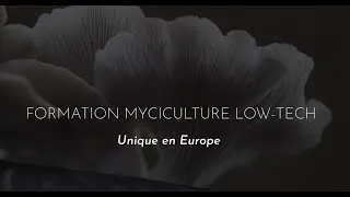 Miniature : Formation Champignons Certifiante Breizh Bell