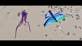 Miniature : KAP KAM Berck 2026 version courte