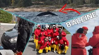 Miniature : Arc 4 - De la bagarre, une panne et DES BALEINES !!!!!!!