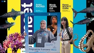 Miniature : Meet our challengers #Bootcamp #blueeconomy  #aquatech #program #algeria