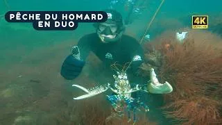 Miniature : Méduse Géante et Homards : Chasse Sous Marine entre Amis en Bretagne !