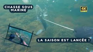 Miniature : Chasse Sous Marine Entre Amis : A la Recherche des homards Bretons !