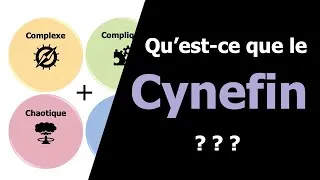 Miniature : S'adapter à son contexte : le Cynefin