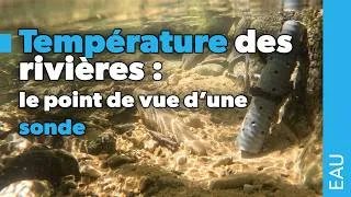 Miniature : Mesurer l'effet des sources sur les rivières : le point de vue d'une sonde