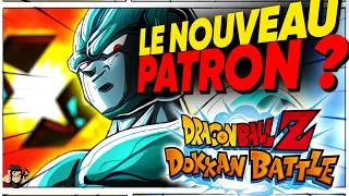 Miniature : Meilleur LR Extreme du jeu ? Test ZLR Metal Cooler END Dokkan Battle