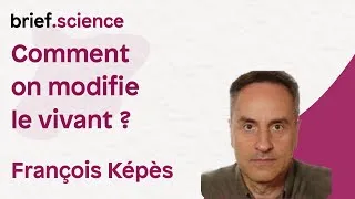 Miniature : Comment on modifie le vivant ? - Brief.science accueille François Képès