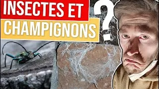 Miniature : 2 ans de travaux en 14 minutes