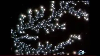 Miniature : Création d'un arbre bronchique par les microzymas
