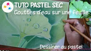 Miniature : Tuto pastel : gouttes d'eau sur une feuille