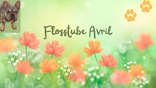 Miniature : Flosstube#33 : Avancée d'Avril 🌼