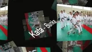 Miniature : Kata Bunkai avec Johnny Gence Sensei
