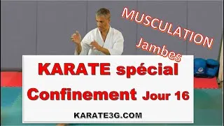Miniature : [Karate3g] Programme Confinement Jour 16 – Musculation Jambes