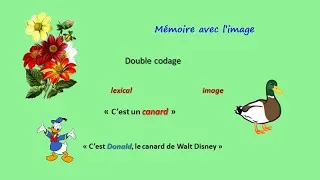 Miniature : Mémoire, animatrice de nos projets : sixième clé
