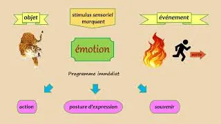 Miniature : Emotions, Décision et Gestion du stress : Cinquième clé