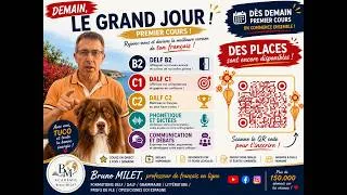 Miniature : DÉBUT DES FORMATIONS DEMAIN Juillet 2026 - DELF B - DALF C1 - DALF C2 - Phonétique et dictée