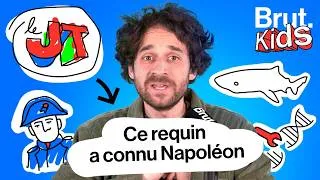 Miniature : L'animal le plus vieux de la planète !