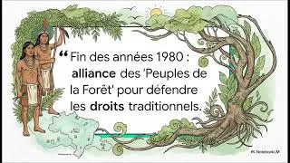 Miniature : Milieux et Environnement : Amazonie  Forêt Surveillée