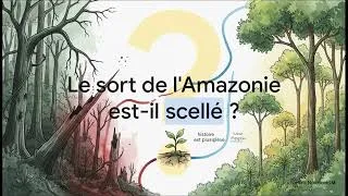 Miniature : Millieux et Environement : La lutte pour l Amazonie