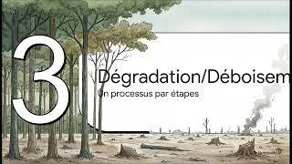Miniature : Milieux et Environnement : Amazonie, La Déforestation